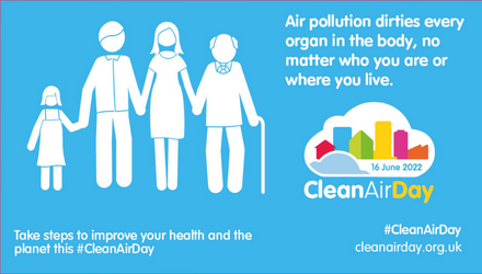 Clean Air Day: Air Pollution Dirties Every Organ in Your Body